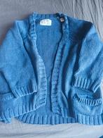 Vest blauw meisje maat 104, Kinderen en Baby's, Kinderkleding | Maat 104, Gebruikt, Meisje, Trui of Vest, Ophalen of Verzenden