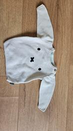 Nijntje trui maat 50, Kinderen en Baby's, Babykleding | Maat 50, Ophalen of Verzenden, Zo goed als nieuw, Hema, Truitje of Vestje