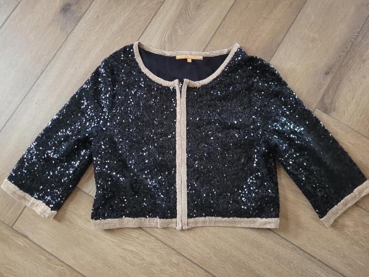 Prachtig vestje van Silvian Heach, maat S, Kleding | Dames, Truien en Vesten, Zo goed als nieuw, Maat 36 (S), Zwart, Ophalen of Verzenden