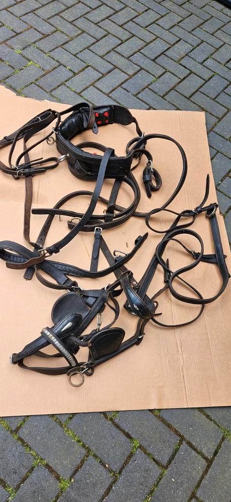 TOEBEHOREN VOOR PAARDEN /DIEREN  , BIEDEN OP ALLES !, Diversen, Rommelmarktspullen, Zo goed als nieuw, Ophalen of Verzenden