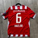 PSV Shirt Angelino, Ophalen of Verzenden, Zo goed als nieuw, Shirt