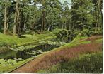 Driebergen- -Heidetuin., Verzenden, 1960 tot 1980, Gelopen, Utrecht