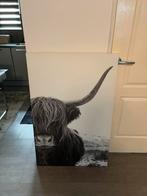 Hooglander Canvas - Perfecte Staat!, Huis en Inrichting, Ophalen of Verzenden, Zo goed als nieuw, Schilderij, 50 tot 75 cm