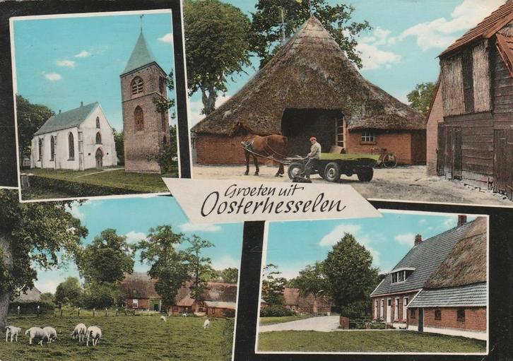 OOSTERHESSELEN Kerk Schapen Boerderij Groeten, Verzamelen, Ansichtkaarten | Nederland, Gelopen, Drenthe, 1960 tot 1980, Verzenden