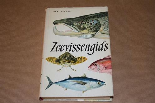 Zeevissengids - Prachtige oude uitgave !!, Boeken, Dieren en Huisdieren, Gelezen, Vogels, Ophalen of Verzenden