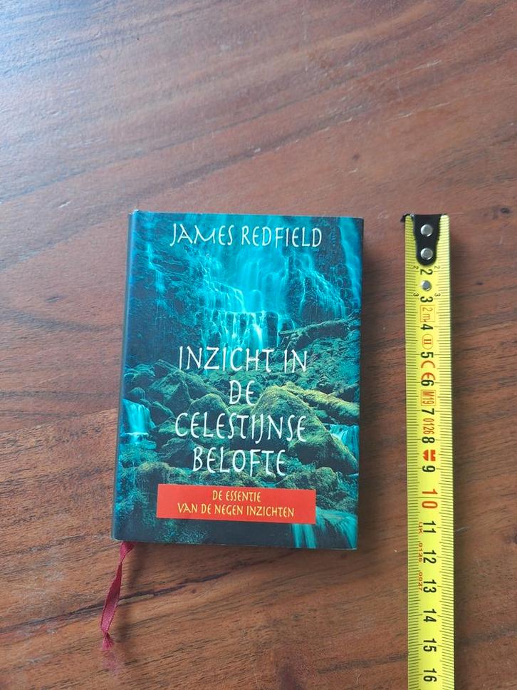 Inzicht in de Celestine Belofte - James Redfield, Boeken, Esoterie en Spiritualiteit, Gelezen, Verhaal of Roman, Spiritualiteit algemeen