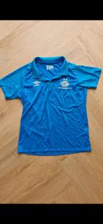 Polo PSV Bert van Marwijk, Ophalen of Verzenden, Zo goed als nieuw, PSV, Overige typen