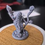 D&D Heroquest Druïde Miniatuur - Geschilderd Klaar!, Hobby en Vrije tijd, Modelbouw | Figuren en Diorama's, Ophalen of Verzenden