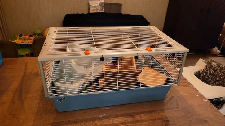 Hamsterkooi Ferplast, Dieren en Toebehoren, Knaagdieren en Konijnen | Hokken en Kooien, Kooi, Minder dan 60 cm, Hamster, Ophalen