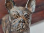 Franse Bulldog van P. Chenet / Brons, Antiek en Kunst, Kunst | Beelden en Houtsnijwerken, Ophalen of Verzenden