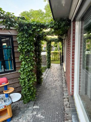 Tuinboog  beschikbaar voor biedingen