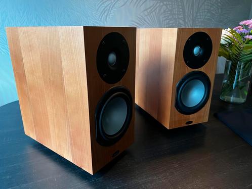 Chario Syntar 513, Audio, Tv en Foto, Luidsprekers, Gebruikt, Front, Rear of Stereo speakers, 60 tot 120 watt, Overige merken