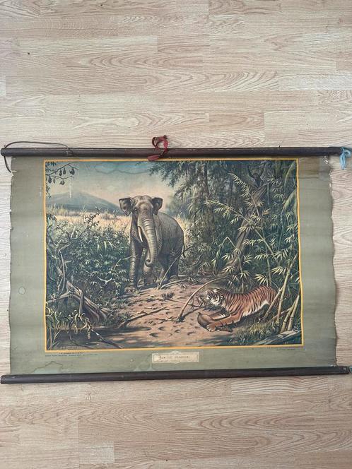 Partijtje antieke schoolplaten, Antiek en Kunst, Antiek | Schoolplaten, Natuur en Biologie, Ophalen of Verzenden