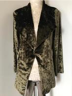 Velours Jasje, Ophalen of Verzenden, Zo goed als nieuw, Jasje, Maat 36 (S)