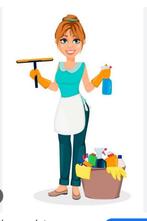 Huishoudelijk hulp / schoonmaakster aangeboden, Vacatures, Vacatures | Schoonmaak en Facilitaire diensten, Overige vormen, HBO