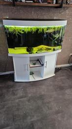 Juwel vision 260, Dieren en Toebehoren, Ophalen