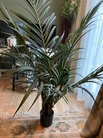 Kunstplant palm, Ophalen, Zo goed als nieuw, Binnen