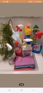 Schoonmakster regio Den Haag, Vacatures, Vacatures | Schoonmaak en Facilitaire diensten, Overige vormen