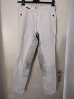 Eurostar wedstrijdbroek paardrijbroek Klaris 42/46 leren zit, Dieren en Toebehoren, Paardrijkleding, Gebruikt, Dressuur, Dames