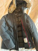 Tommy Hilfiger winterjas 152, Ophalen of Verzenden, Zo goed als nieuw, Meisje, Jas