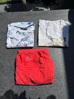 Shirts heren - Maat L, Ophalen, Gedragen, Maat 52/54 (L), Overige kleuren