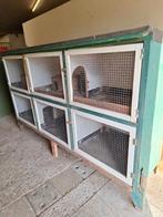 Zesdelig konijnen of caviahok, Dieren en Toebehoren, Knaagdieren en Konijnen | Hokken en Kooien, Ophalen, 110 cm of meer, Hok
