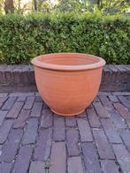 Nieuwe terra cotta bloempot ., Steen, Minder dan 60 cm, Rond, Nieuw