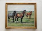 Paarden op weiland, Ophalen of Verzenden