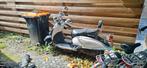 Znen Aurora Retro Scooter - Opknapper of voor onderdelen, Ophalen, Gebruikt, Benzine