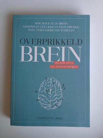 Charlotte Labee - Overprikkeld brein beschikbaar voor biedingen