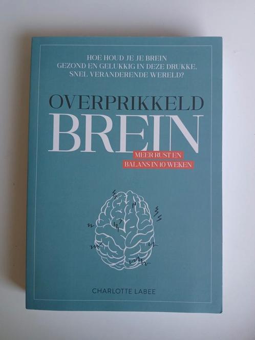 Charlotte Labee - Overprikkeld brein, Boeken, Psychologie, Zo goed als nieuw, Ophalen of Verzenden