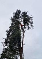 Hovenier/Tuinman aangeboden, Diensten en Vakmensen, Tuinmannen en Stratenmakers, Bestrating