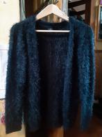Fluffy zacht vest maat 158, Kleding | Dames, Ophalen of Verzenden, Zo goed als nieuw, Maat 34 (XS) of kleiner, Zwart