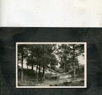 Ansicht Zuidwolde - Klein Zwitserland, Verzenden, Gelopen, Drenthe