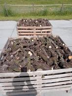 Droog perenhout fruitbomenhout haardhout, Tuin en Terras, Haardhout, Ophalen of Verzenden