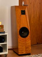 Grote Avalon Eclipse high end speakers, Audio, Tv en Foto, Gebruikt, 120 watt of meer, Front, Rear of Stereo speakers, Ophalen