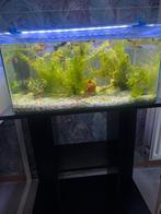 Aquarium met tafel voor de aquarium, Dieren en Toebehoren, Vissen | Aquaria en Toebehoren, Ophalen of Verzenden, Gebruikt, Overige typen