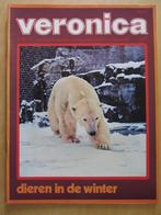 Veronica 1971 Humble Pie Tarzan Johnnie Rep Wings Jasperina, Ophalen of Verzenden, 1960 tot 1980, Nederland, Tijdschrift