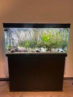 Tropisch aquarium 220liter zwart, Dieren en Toebehoren, Ophalen, Gebruikt, Gevuld zoetwateraquarium