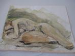 Naakten, Antiek en Kunst, Kunst | Litho's en Zeefdrukken, Ophalen of Verzenden