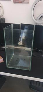 Terrarium, Dieren en Toebehoren, Ophalen