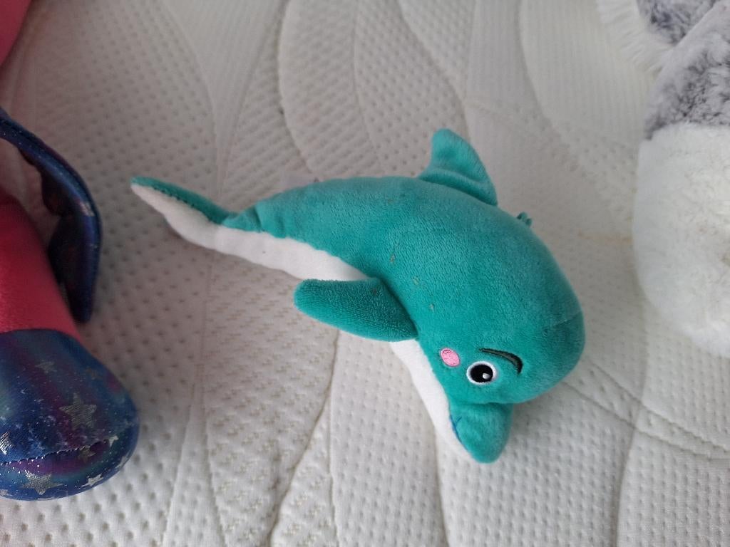 Lidl Aqua Mini dolfijn, Ophalen of Verzenden, Zo goed als nieuw, Overige typen