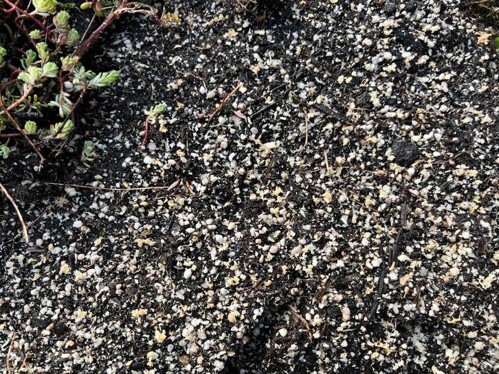 Substraat Sedummatten - 2,5m2 Gratis Afhalen, Tuin en Terras, Aarde en Mest, Overige typen, Ophalen