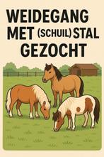 Gezocht stalling voor mij nieuwe aanwinst, Ophalen of Verzenden, Zo goed als nieuw, Honden