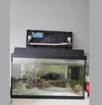 Juwel aquarium 60lt, Ophalen, Zo goed als nieuw, Leeg aquarium