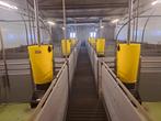 hokinrichting vleesvarkens en voerinstallatie, Dieren en Toebehoren, Schapen, Geiten en Varkens, Meerdere dieren, Varken