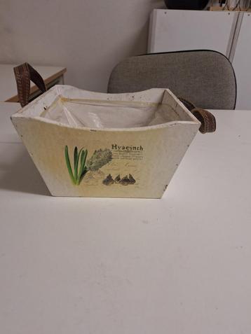 plantenbakje Hyacinth beschikbaar voor biedingen