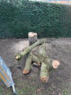Gratis brandhout, Tuin en Terras, Haardhout, Minder dan 3 m³, Ophalen, Stammen