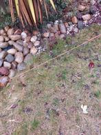 Keien  voor in de tuin., Tuin en Terras, Overige Tuin en Terras, Ophalen, Gebruikt