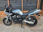 Yamaha Fazer FZS600, Particulier